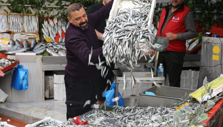 Balık tezgahlarında kuyruk oluştu: Fiyat ilk kez 400 liradan 50 liraya düştü