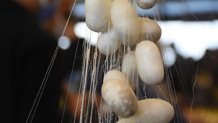 Dünyada sadece 5 ülke üretiyor: Türkiye de o listede