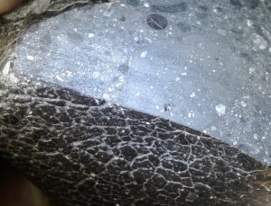 Mars’tan gelen siyah taş ortalığı karıştırdı