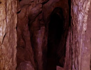 Suudi Arabistan’daki mağarada bulunan mumyalanmış yaratıklar inceleniyor