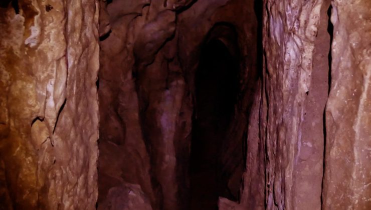 Suudi Arabistan’daki mağarada bulunan mumyalanmış yaratıklar inceleniyor