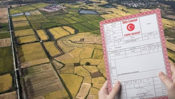 Tapu sahiplerine 1 Mart uyarısı: Zamanında ödemeyen gecikme zammıyla karşılaşacak