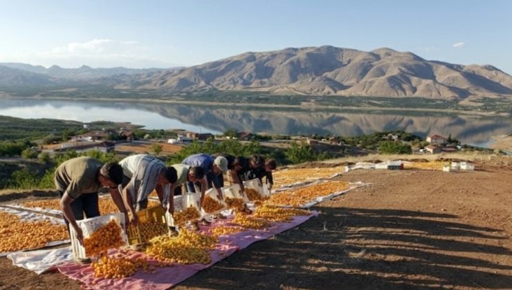 Tüm dünyanın gözü oraya çevrildi! Türkiye’nin bir şehrinden 750 milyon dolarlık dev hamle