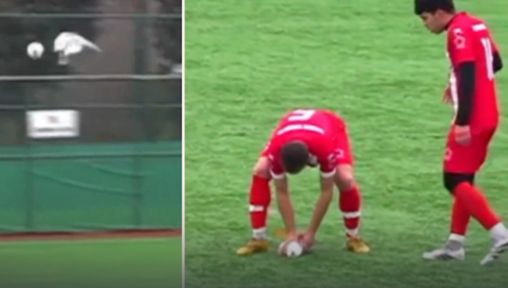 Uçan martıya top çarptı! Sahada kalp masajı yapıldı